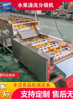全自动果蔬清洗分选机柑橘选果机沃柑加工筛选机橙子分选设备水果