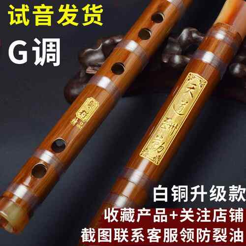 高档长笛初学者自学横笛门竹笛乐器业奏高端成人F入级演儿童专二