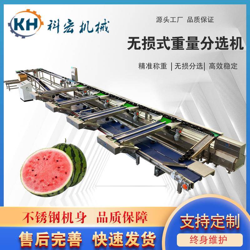科宏机械无损式重量分选机菠萝西瓜甜瓜智能分拣重量分选