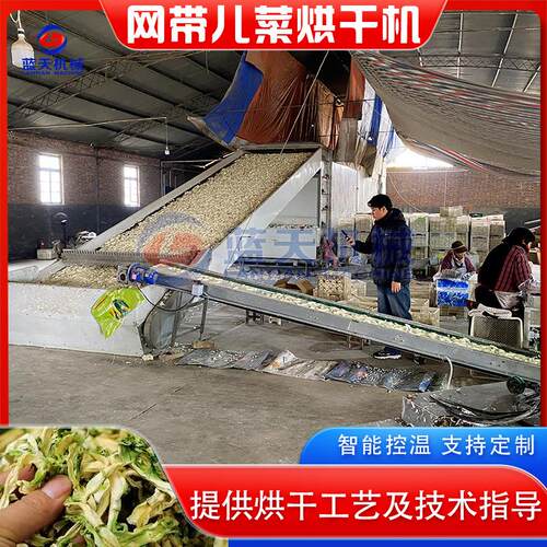 儿菜烘干机大型娃娃菜生菜抱子芥烘干生产线蔬菜干网带烘干设备
