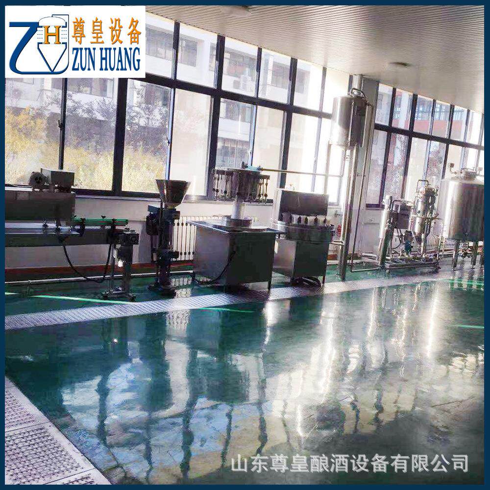 自酿原浆啤酒发酵罐200升啤酒实验设备厂家麦汁酿酒设备