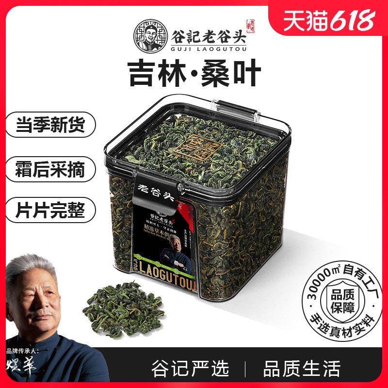 净口密封罐桑叶茶霜后冬嫩桑树叶桑葚桑树泡水喝搭配玉米须