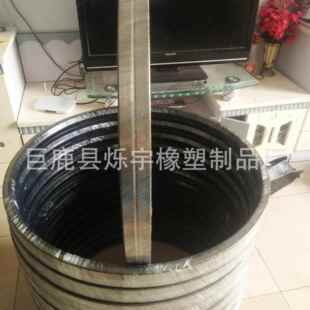 厂家直销 耐高压氟橡胶铁壳油封 SBB 型骨架油封 耐高温密封件