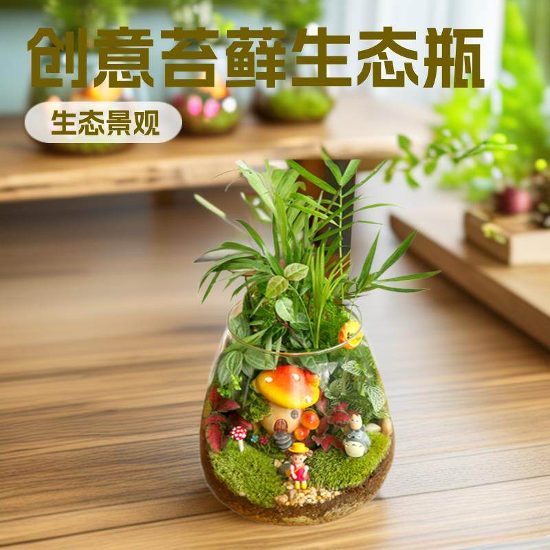 玻璃花瓶 创意苔藓微景观玻璃瓶生态瓶大号水晶摆件玻璃花瓶