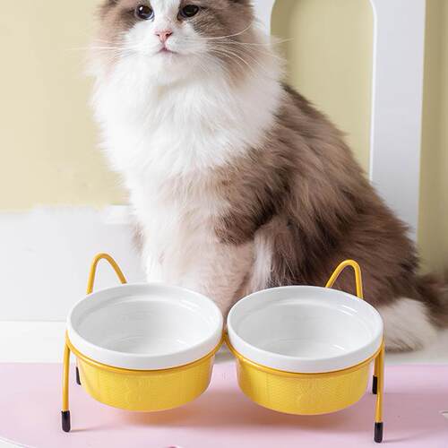 宠物猫碗双碗铁架保护颈椎狗碗猫盆猫咪食盆粮盆饭盆喝水碗防打翻