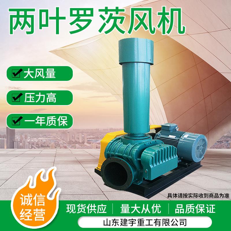 两叶罗茨风机鼓风机污水处理用机械低噪音两叶罗茨风机高效送风
