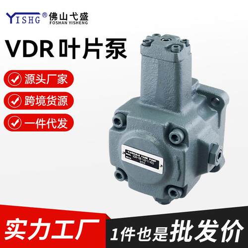 液压泵总成VDR-1A 1B 2A 2B-1A2 1A3 1A4 1A5 2A2-13 22电机叶片