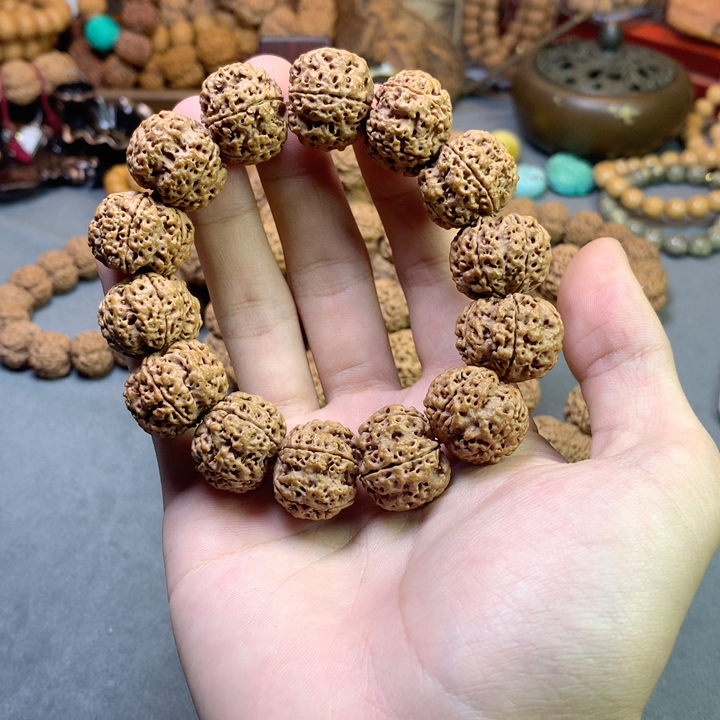 13号 米奇龍20/21mm ss