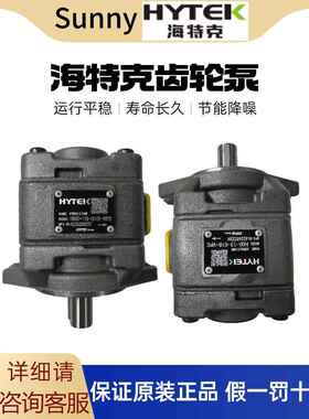 海特克油泵齿轮泵HG0-08/10/13/16/20HG1-25/32/40/50/63-01R-VPC