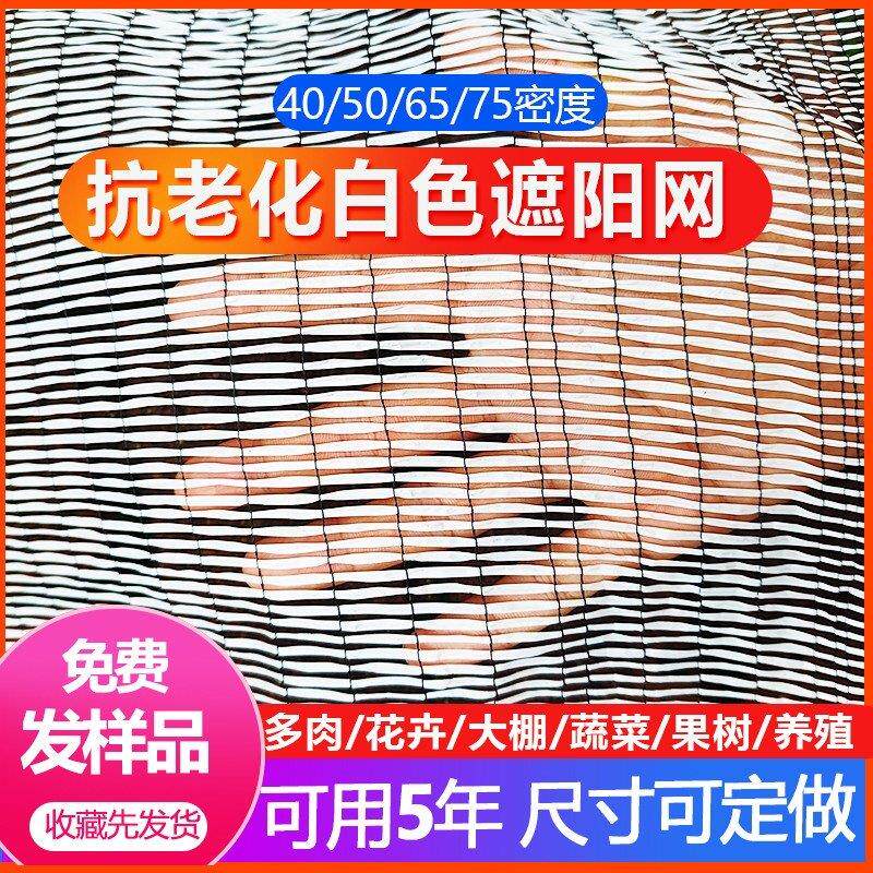 白色遮阳网防晒网抗老化平针蔬菜大棚草莓果树植物农用户外银白色