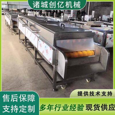 创亿花生毛辊清洗机水果通过式软毛刷清洗机大枣平行喷淋清洗机