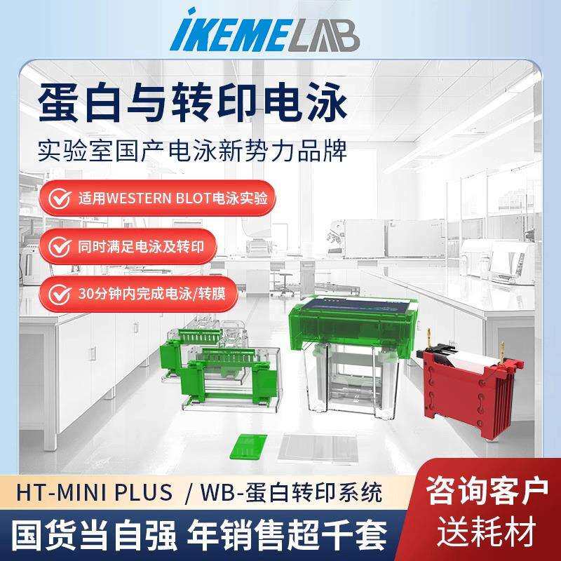 水平垂直电泳仪琼脂糖凝胶wb蛋白转印槽实验室DNA核酸RNA电泳槽
