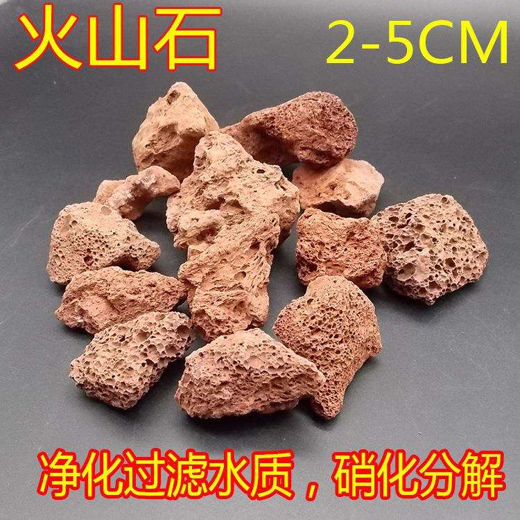 水族箱鱼缸过滤材料造景摆设火山石花罗汉增色增艳起头火山岩