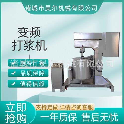 全自动立式肉丸打浆机猪肉牛肉变频调速打浆机小型肉制品打泥机