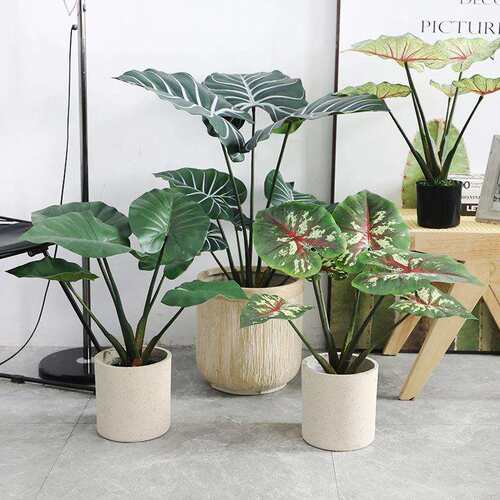 仿真绿植软胶背LGI叶野龟芋叶假植物商盆栽饰室内装旅人蕉场橱窗