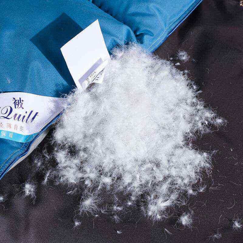 厂家直销羽绒被95白鹅绒被子春秋被加厚冬被鸭绒被芯礼品被子
