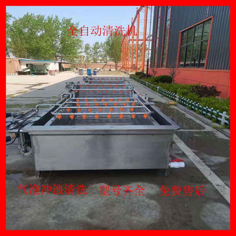 银耳木耳果蔬气泡清洗机中药材大姜清洗设备大型青椒喷淋清洗机