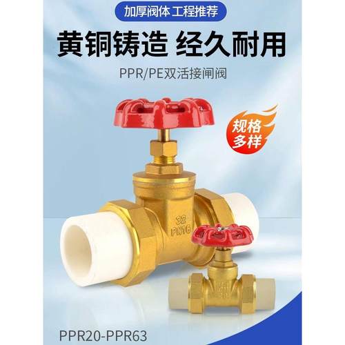 全铜闸阀Ppr管道Pe管道水管阀门开关4分钟20管道6分钟25双联管1英