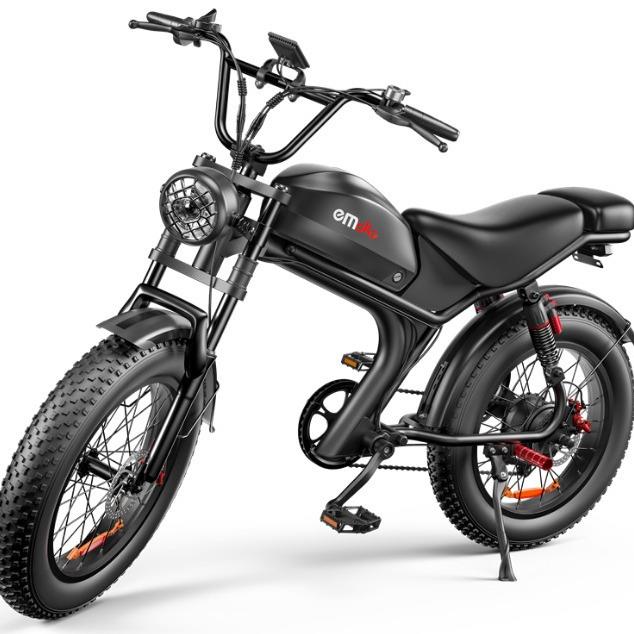 20寸胖胎 C93雪地两轮电动助力自行车长续航 Ebike 海外仓分销