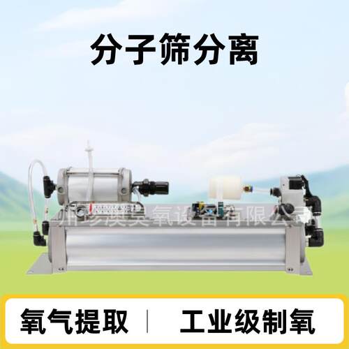 珍澳10L制氧设备模块psa分子筛制氧机工业水处理焊接小型制氧设备