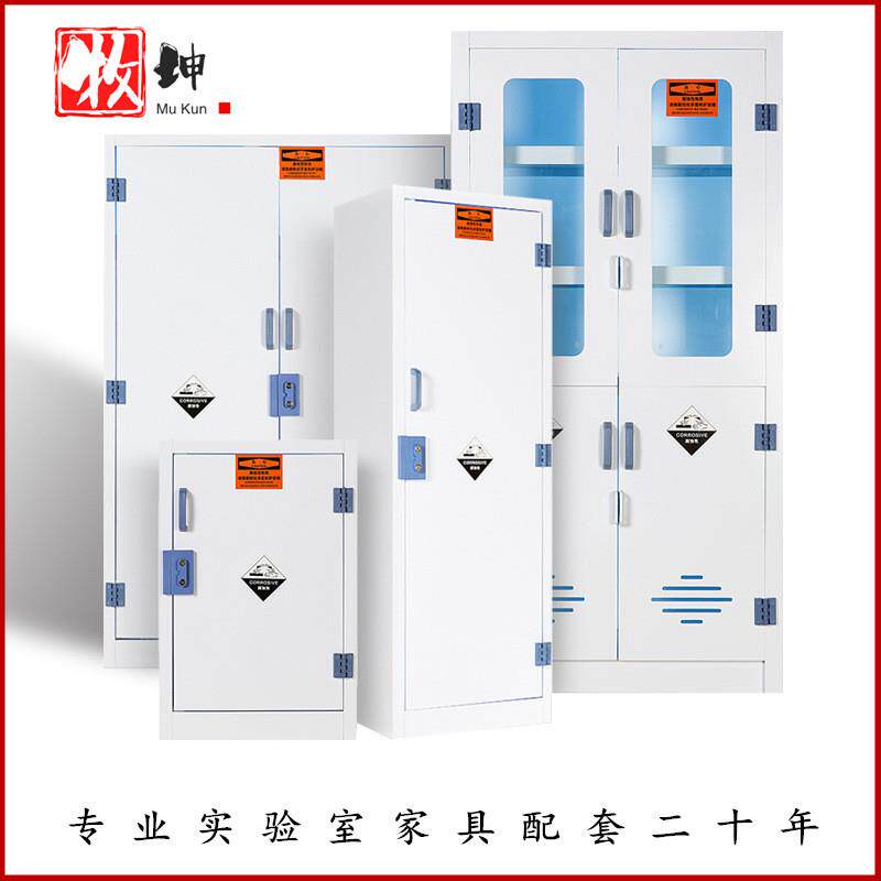实验室PP药品柜试剂柜器皿柜危化学酸碱柜双锁盐酸硝酸硫酸储存柜