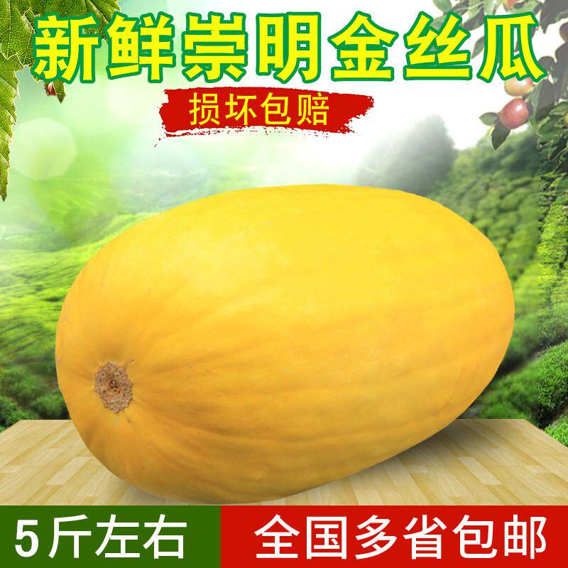崇明岛新鲜金丝绞瓜搅瓜凉拌天然海蜇丝鱼翅瓜时令瓜角瓜茭瓜金瓜