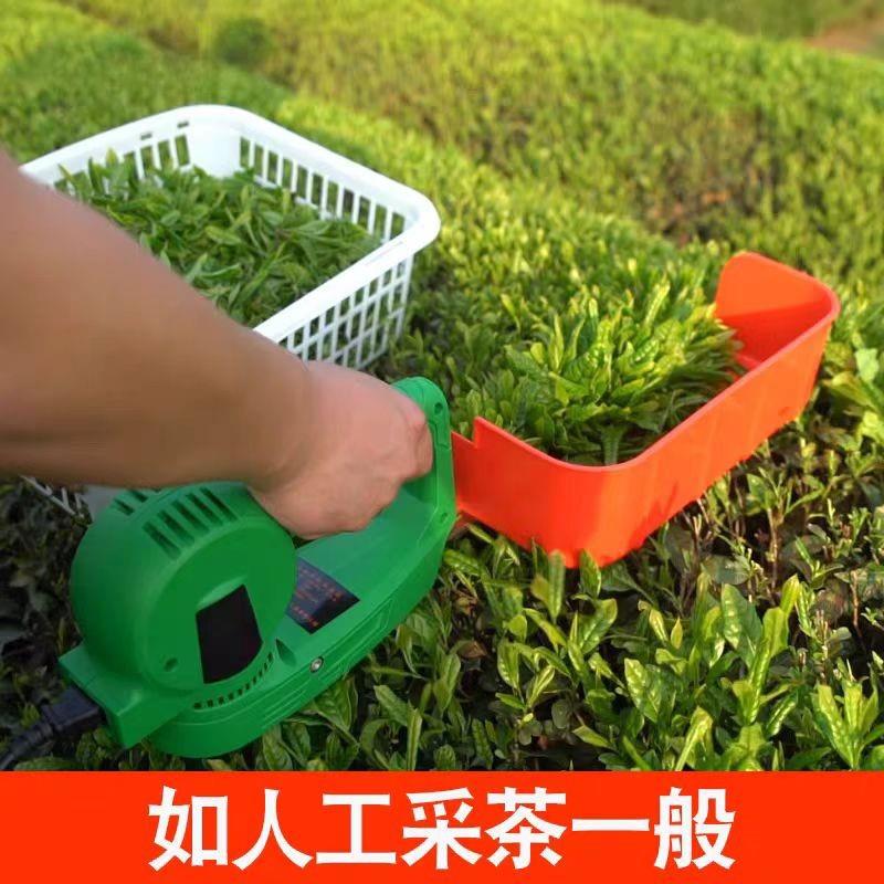 捍绿电动采茶机绿篱机充电式采茶机单人小型便携式茶树修剪机锂电