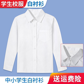 男童衬衫纯棉短袖夏季薄款儿童演出服男孩白色衬衣中大童衬衫校服