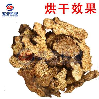 天苍术烘干机小型关苍术蓝赤术烘干干箱LT-CZJ术除湿烘设白备一体