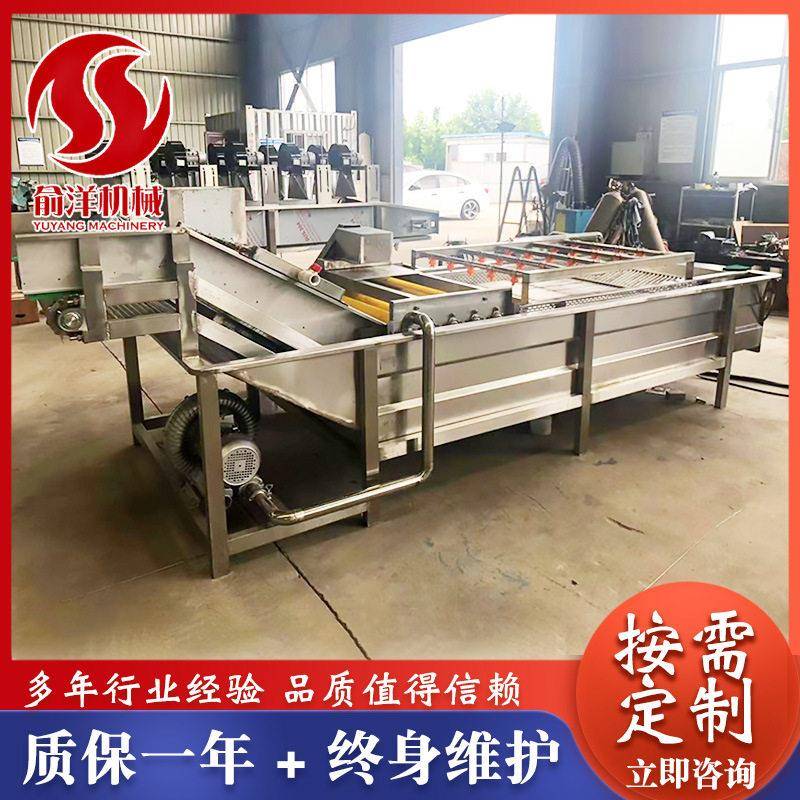 全自动压喷淋式芒果百香果清洗设备不锈钢果蔬气泡清洗机流水线