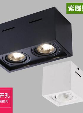 led明装射灯方形双头斗胆灯客厅家用黑色吸顶筒灯cob格栅灯盒子灯