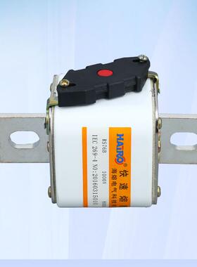 半导体保护用的方管螺栓连接式低压熔断器 RS76B快速熔断器