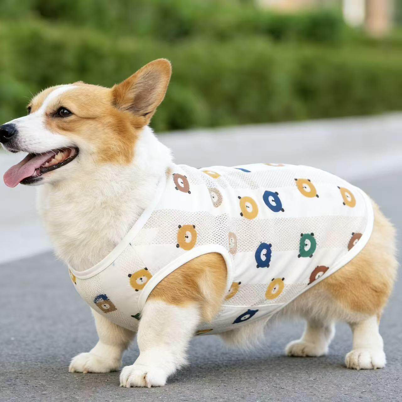 狗狗衣服春夏秋薄款透气网眼宠物背心小中大型犬法斗柯基柴犬衣服