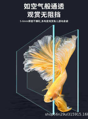 客厅鱼缸新款侧滤桌面家庭小型超白玻璃自循环生态懒人水族箱金鱼