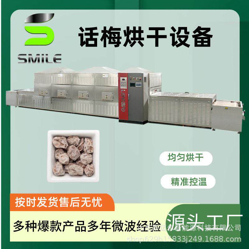 隧道式乌梅干燥灭菌设备话梅干微波干燥灭菌机 厂家微波灭菌机