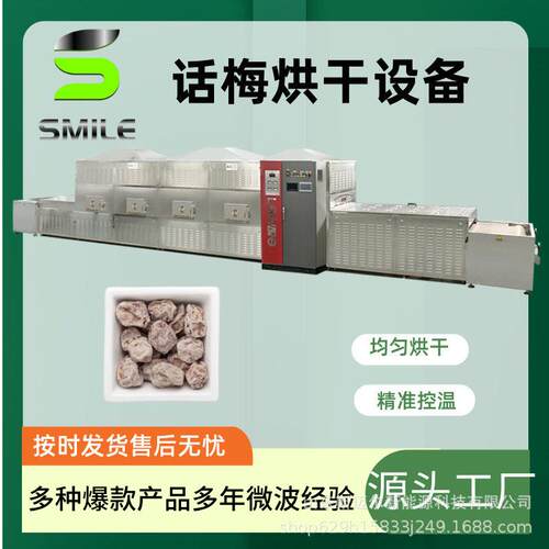 隧道式乌梅干燥灭菌设备话梅干微波干燥灭菌机 厂家微波灭菌机