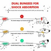 Leashes Comfortable Accessories Leash Dog For Running