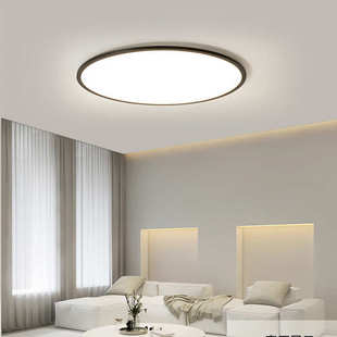 圆形卧室灯主卧客厅灯护眼吸顶灯简约现代极简房间灯黑色led灯具
