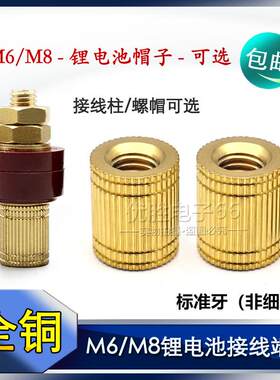 锂电池8M接线柱铜帽子电瓶螺帽m6/m8逆变器螺母接线端子333/555
