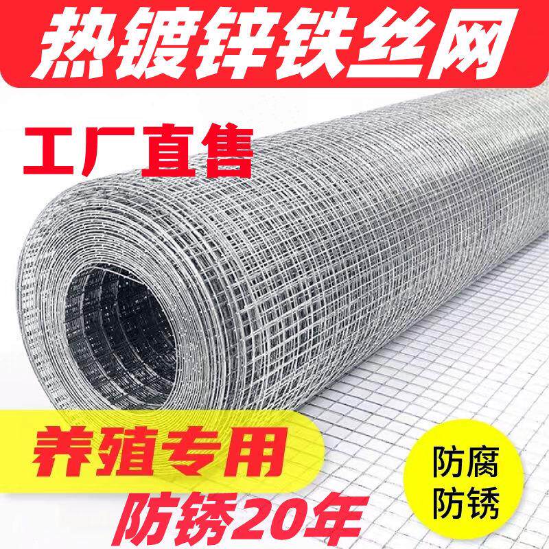 热镀锌铁丝网20年不锈防护家用养殖焊接护栏镀锌阳台隔离栏围栏网