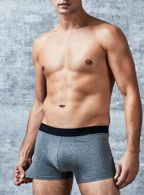 Mens Underwear Boxers Shorts for men 100%Cotton Male Panties