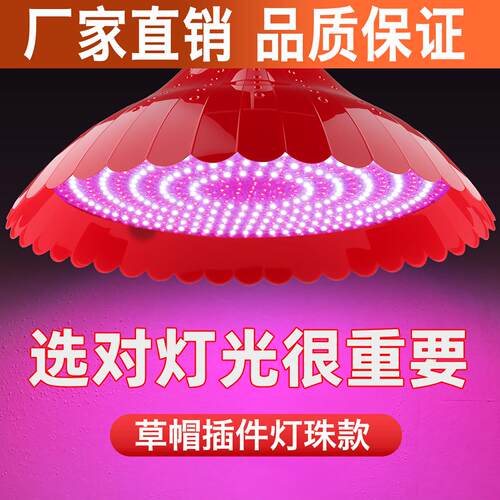 厂家直销LED红白光超亮E27螺口大功率红黄光节能照明吊灯