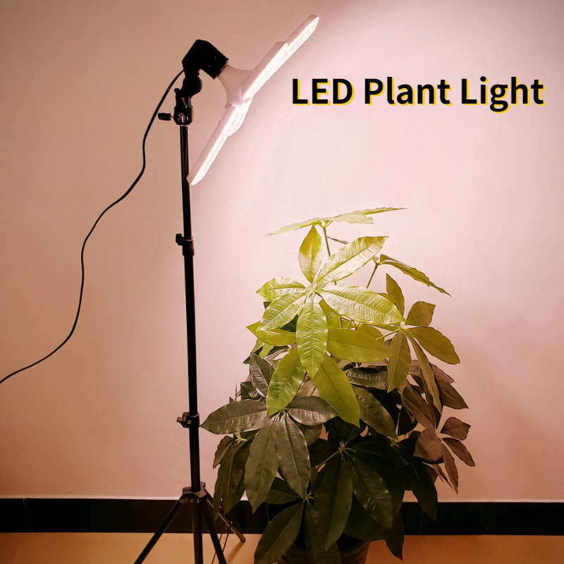 高功率定时植物补光灯｜落地款仿日光全光谱三角梅生长灯led多肉