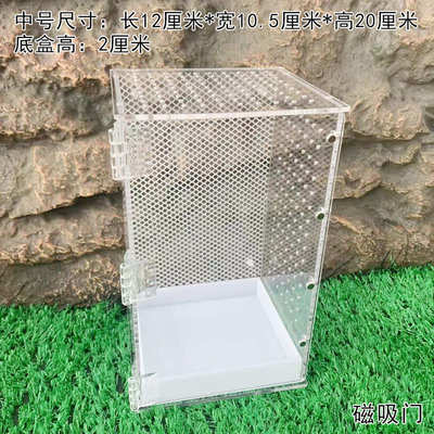 爬宠饲养箱树栖饲养盒树蛙饲养箱睫角蜘蛛蜗牛螳螂饲养盒昆虫盒