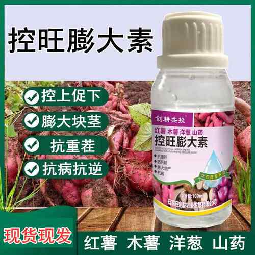 红薯专用控旺膨大素根茎块拉长紫薯膨大剂地瓜控旺药高产叶面肥