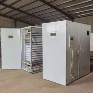 孵蛋器全自动大型蛋车孵化设备智能出雏育雏一体机孵箱家用孵化机