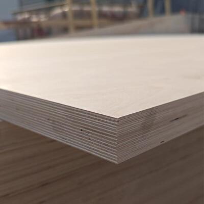 全桦木胶合板多层海洋板白5mm9mm12mm15mm18mm桦木板