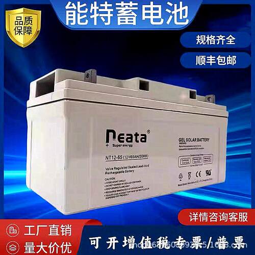 Neata能特蓄电池NT12V100 7 17 24 38 40 65 120AH机房直流屏专用
