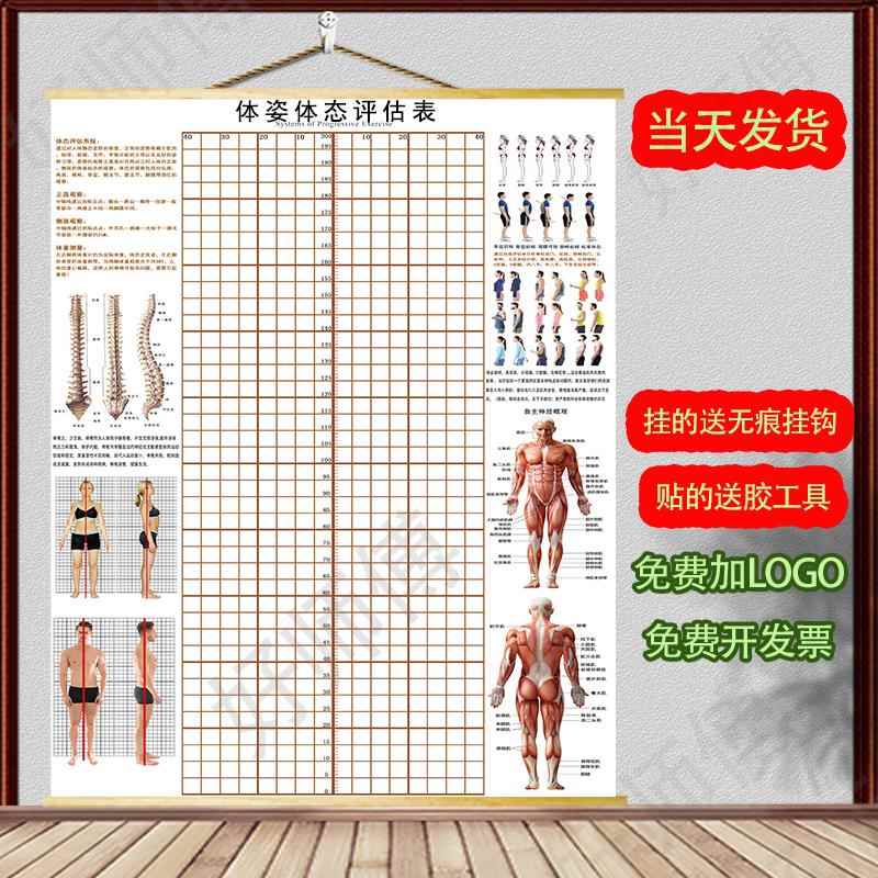 体态评估表挂式贴式体测健身房瑜伽馆私教身高臂展网格身体对比图