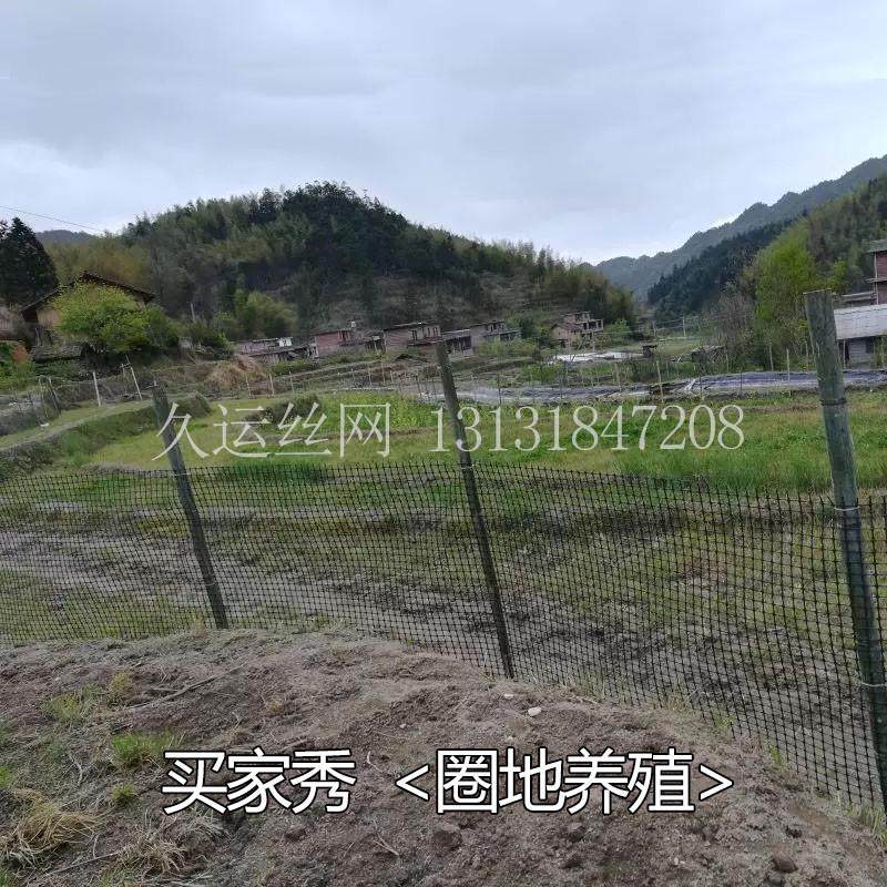 黑胶塑料网格防护网户外拦鸡养殖网家禽围网养鸡鸭围栏网家用护栏,五金/工具,护栏/隔离栏,淘宝优惠券,粉丝福利购,淘宝优惠卷